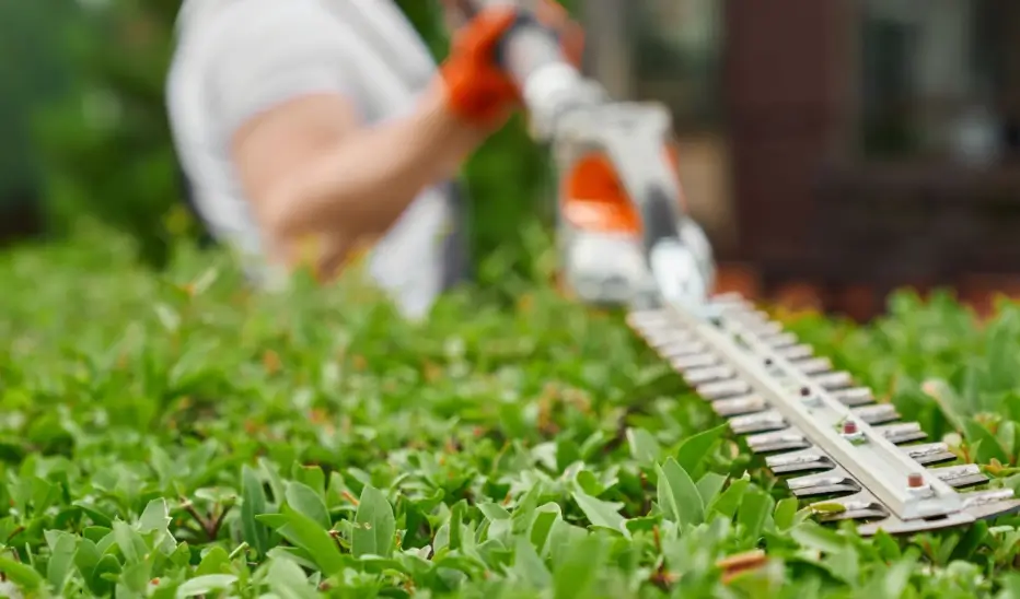 Lawn Mowing Tips for Beginners