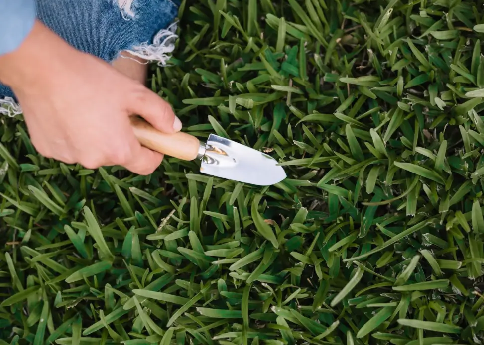 Troubleshooting Common Lawn Mowing Issues