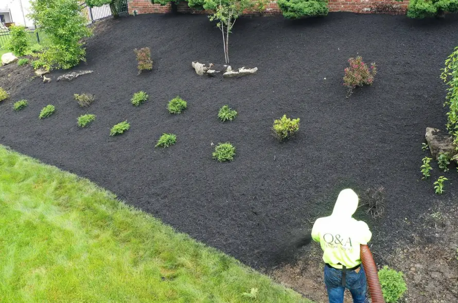 How to Use Black Mulch Safely and Effectively Around Plants