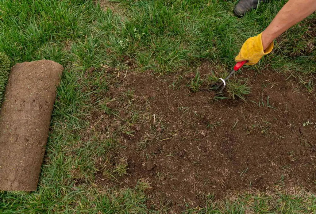 Getting Ready: Soil and Surface Preparation