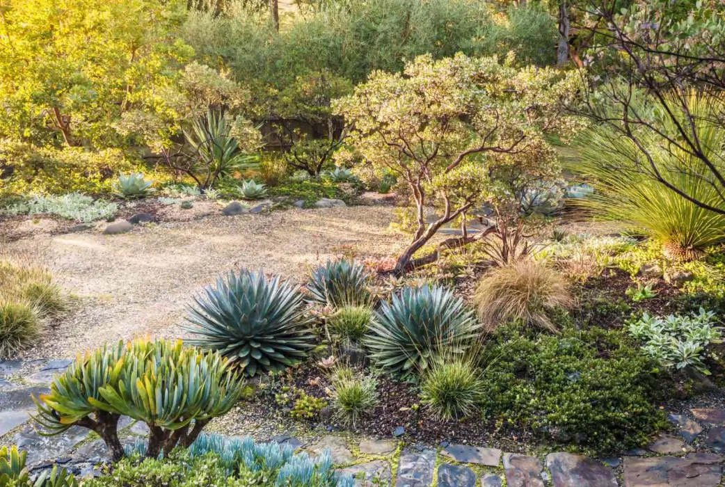 Xeriscaping: A Sustainable Approach to Water-Efficient Landscaping