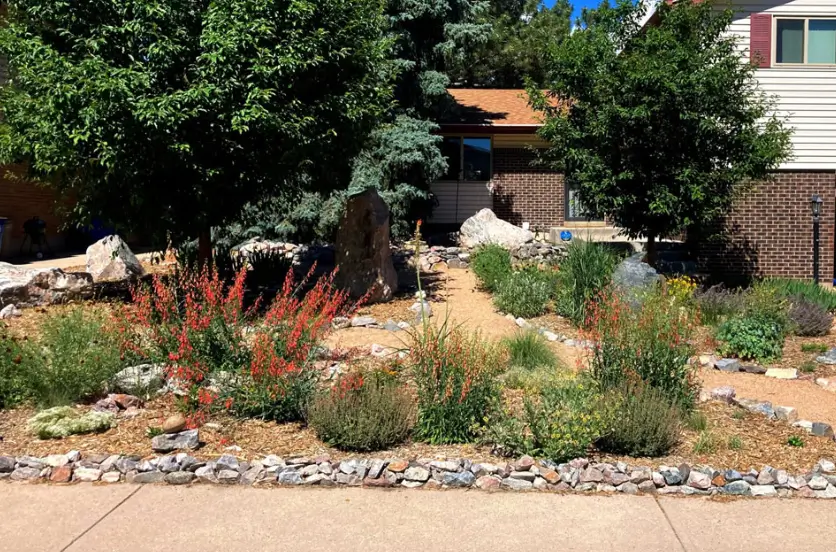 Creative Xeriscaping Ideas for a Stunning Landscape