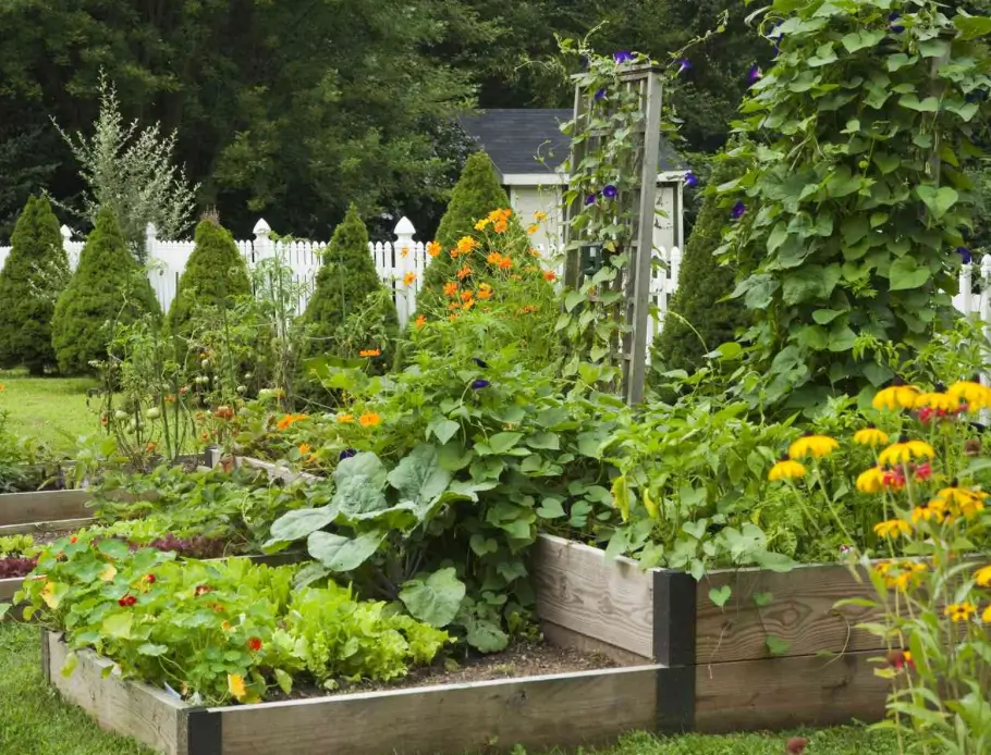 Seasonal Planning to Apply the Calendar Through the Year