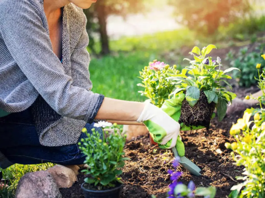 Benefits & Outcomes of Using a Planting Calendar