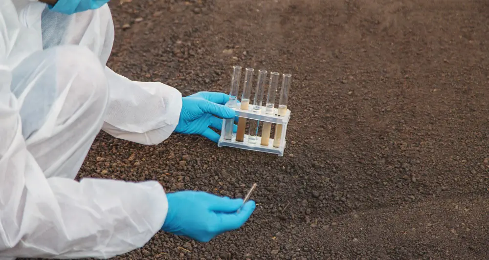 Test and Improve Your Soil