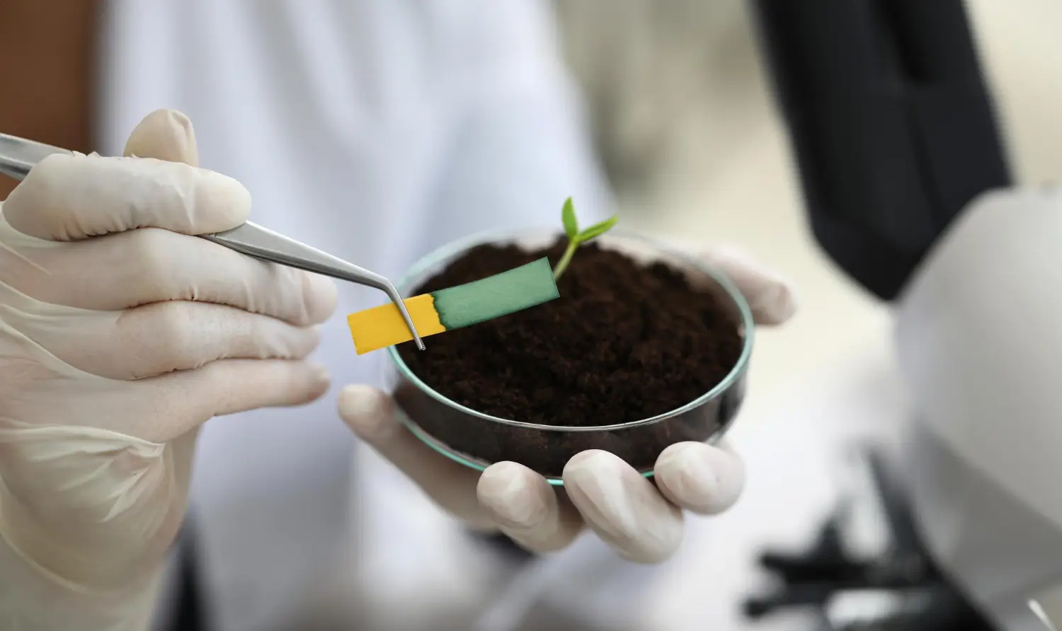 A step-by-step guide to testing soil pH for optimal plant growth