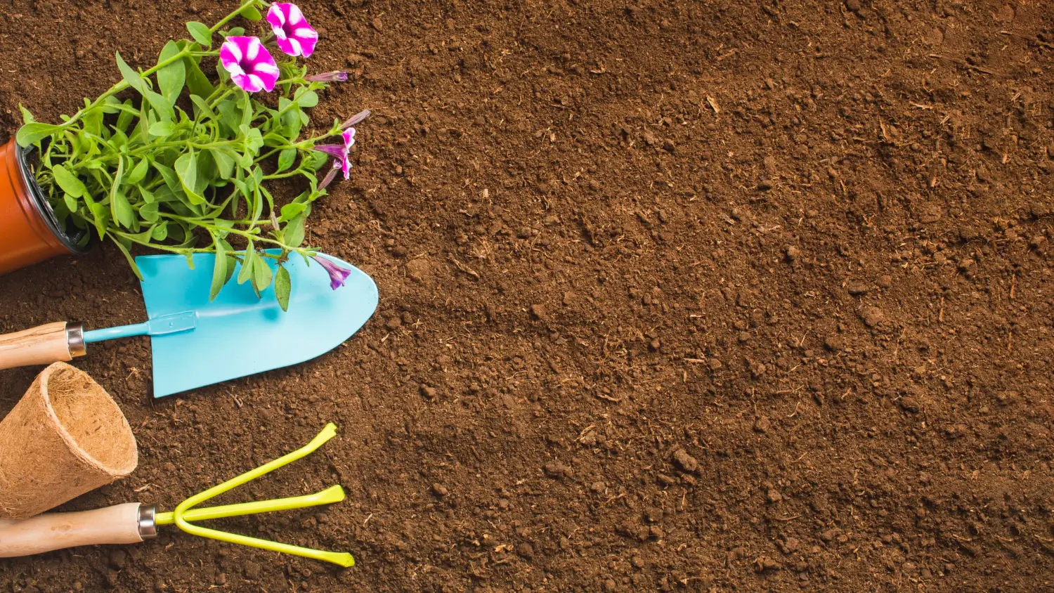 Exploring Lowe’s Green sand fertilizer: Benefits and application tips