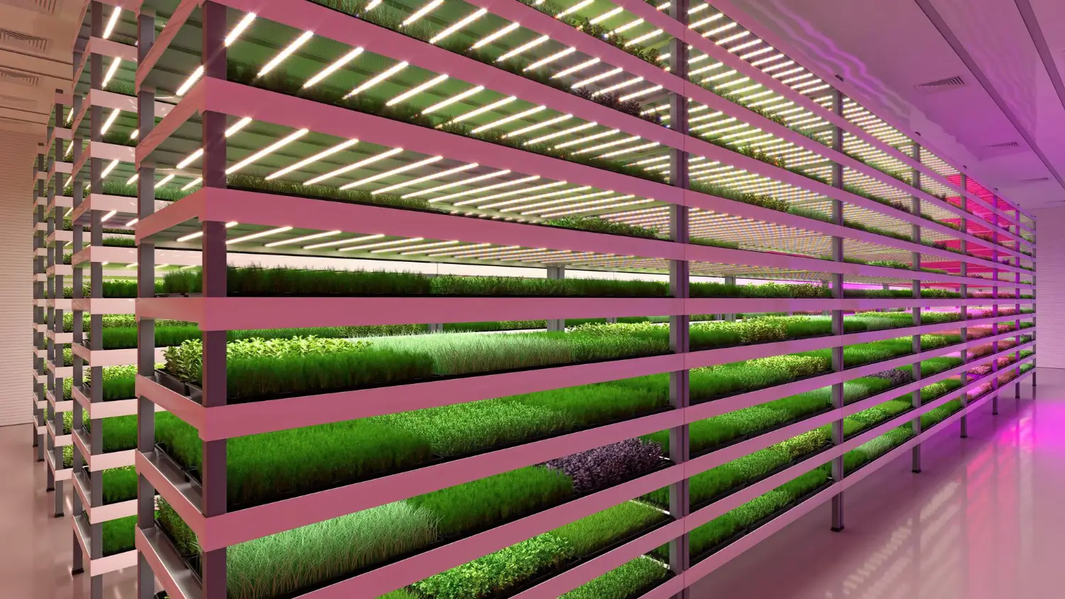 Vertical Farming: Innovative Ideas for Small Spaces