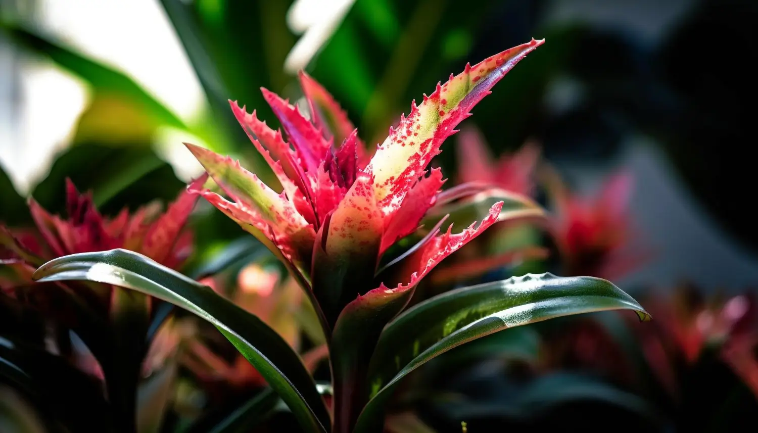 Bromeliad Care: A Complete Guide for Beginners