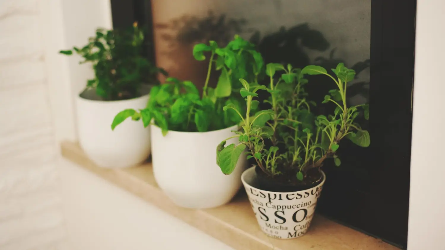 The Ultimate guide to growing herbs at home