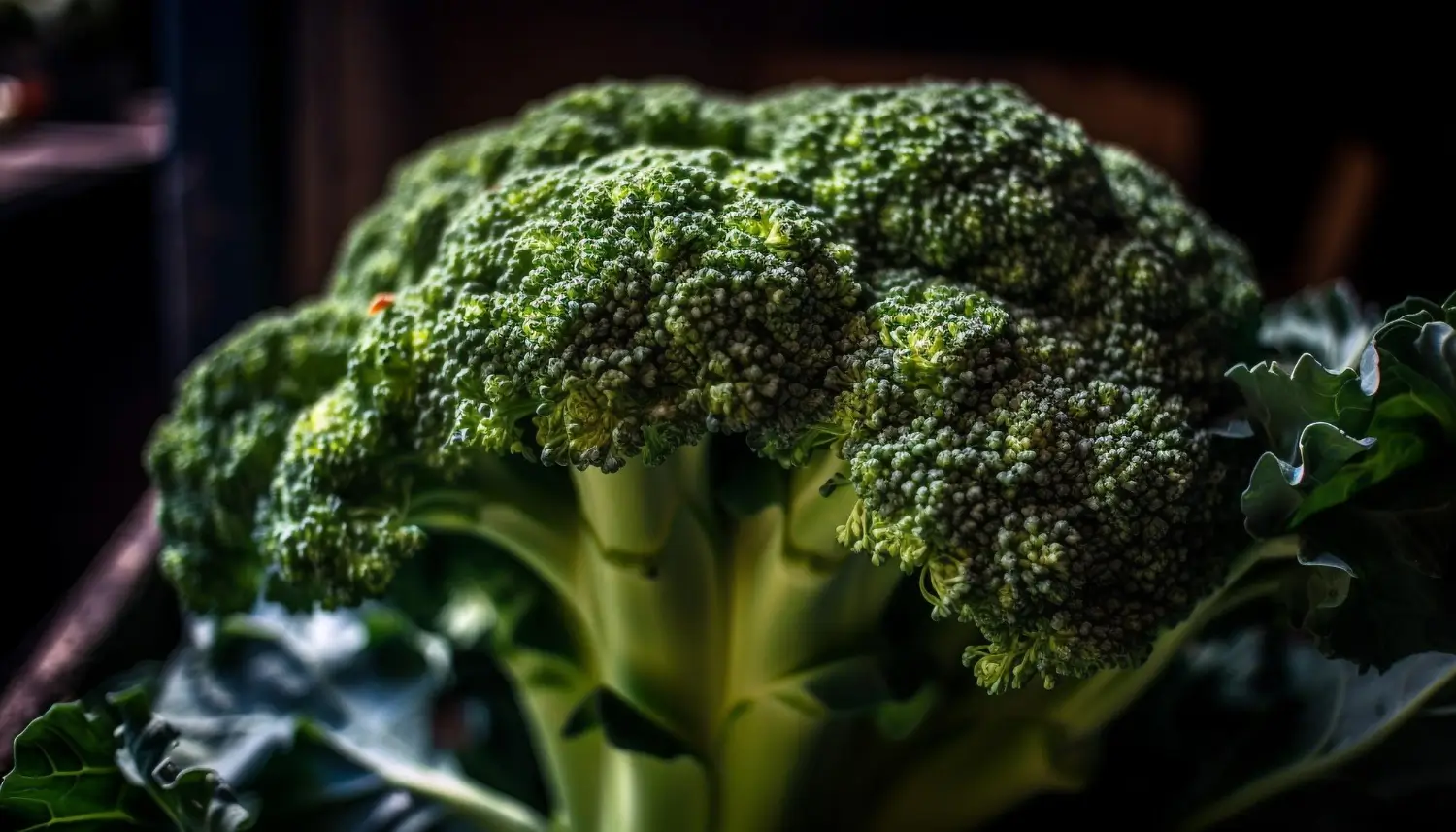 Broccoli growing guide: Tips for delicious home harvests