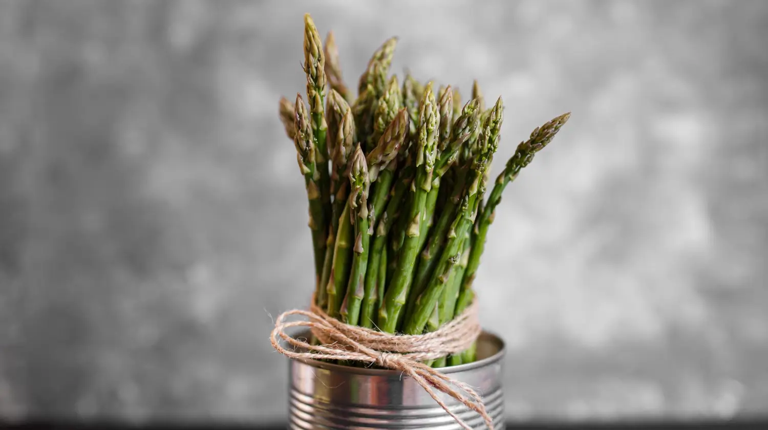 Asparagus growing made easy: Tips for perennial harvests