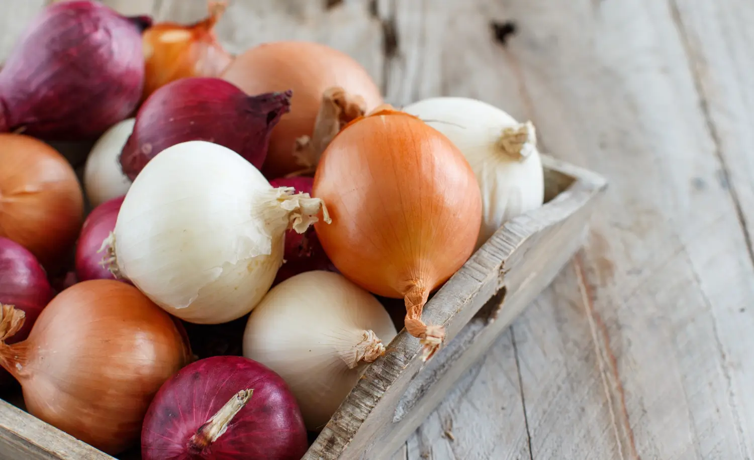 How to grow onions: Tips for fresh bulbs and greens