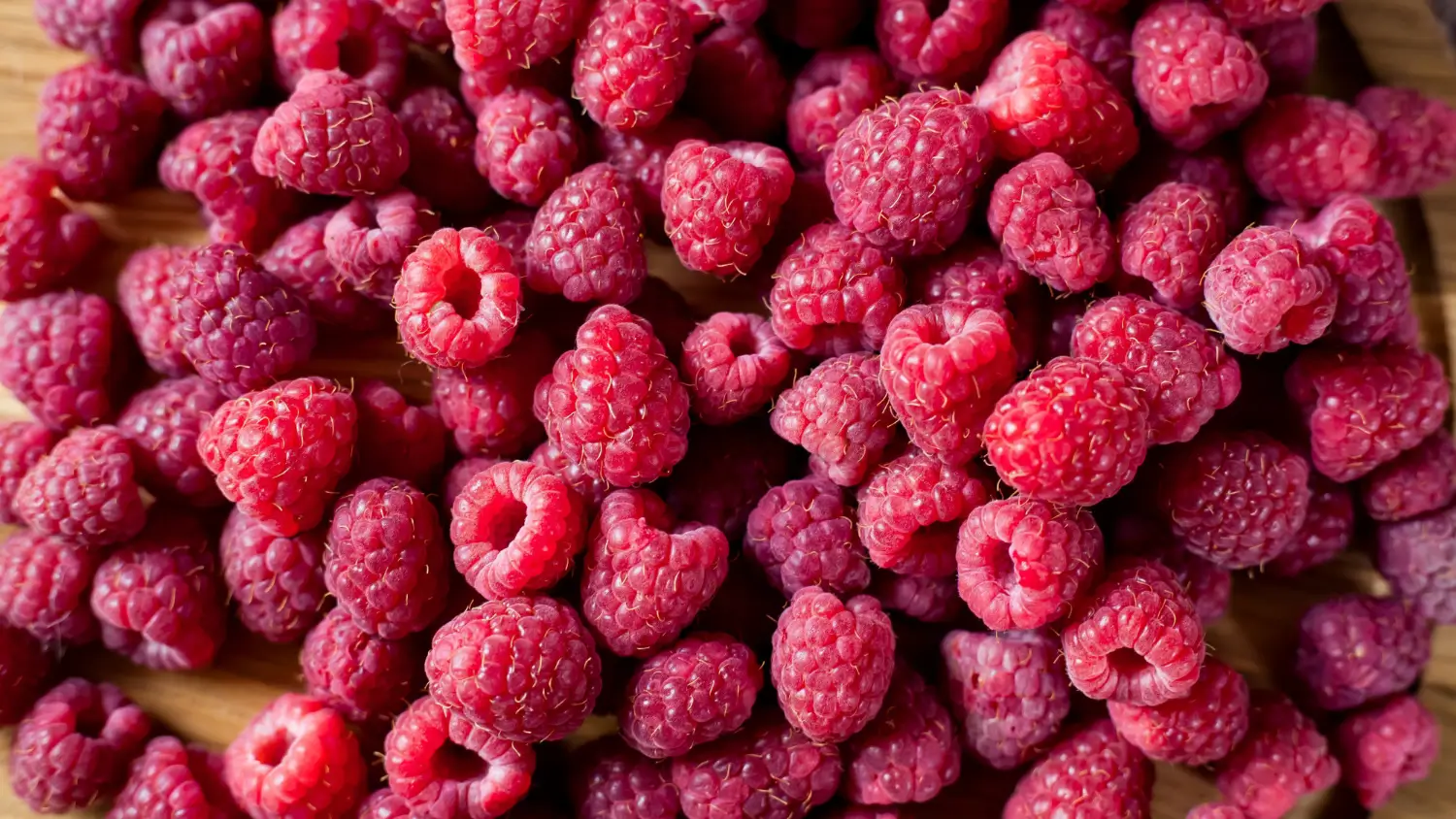 Growing raspberries at home: Tips for sweet, juicy harvests