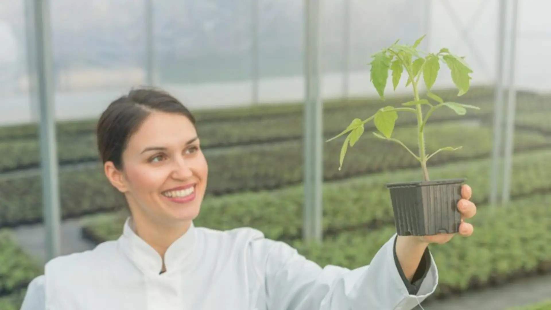 Nutrient Solutions for Superior Plant Health