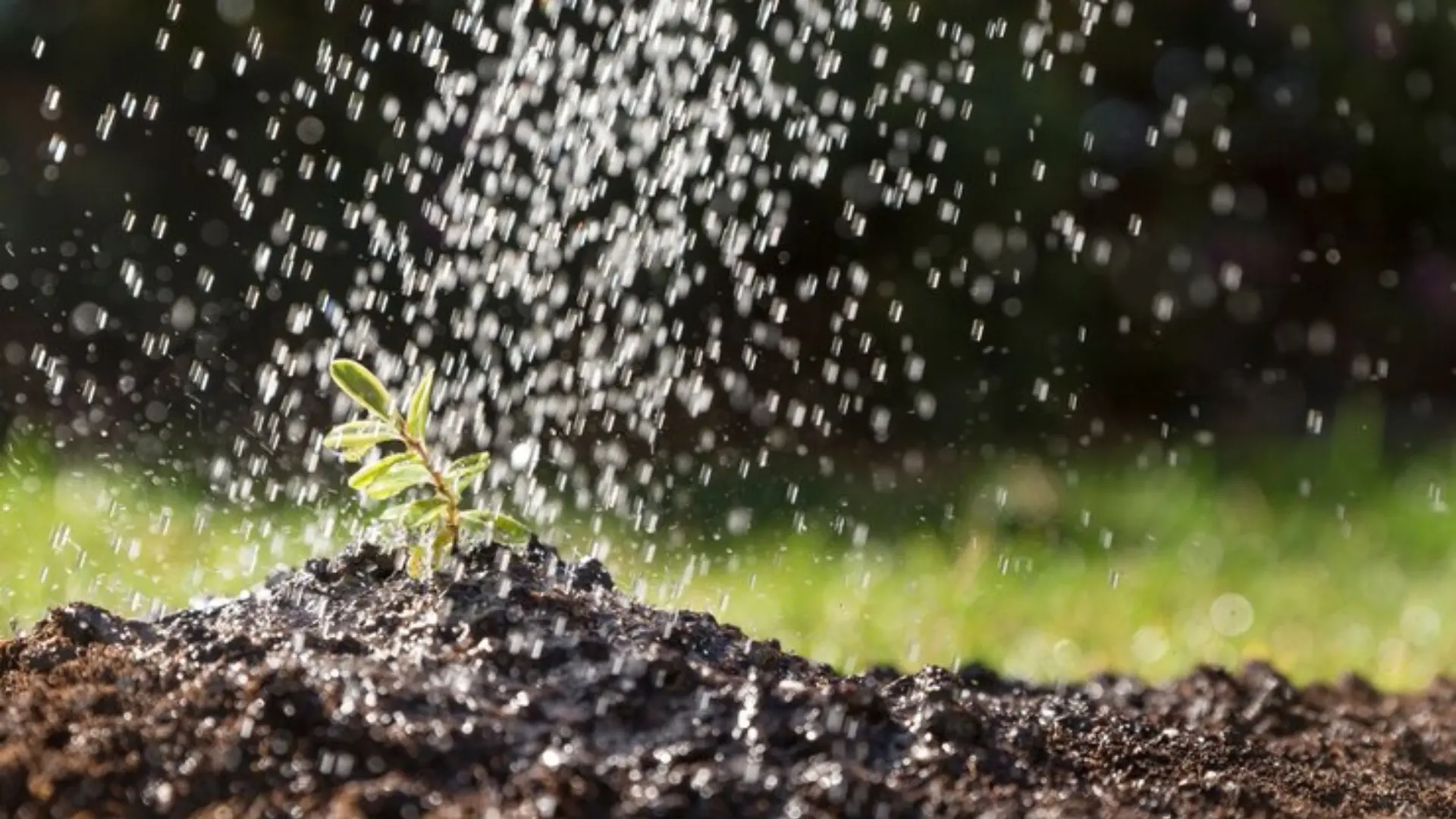 agricultural water management