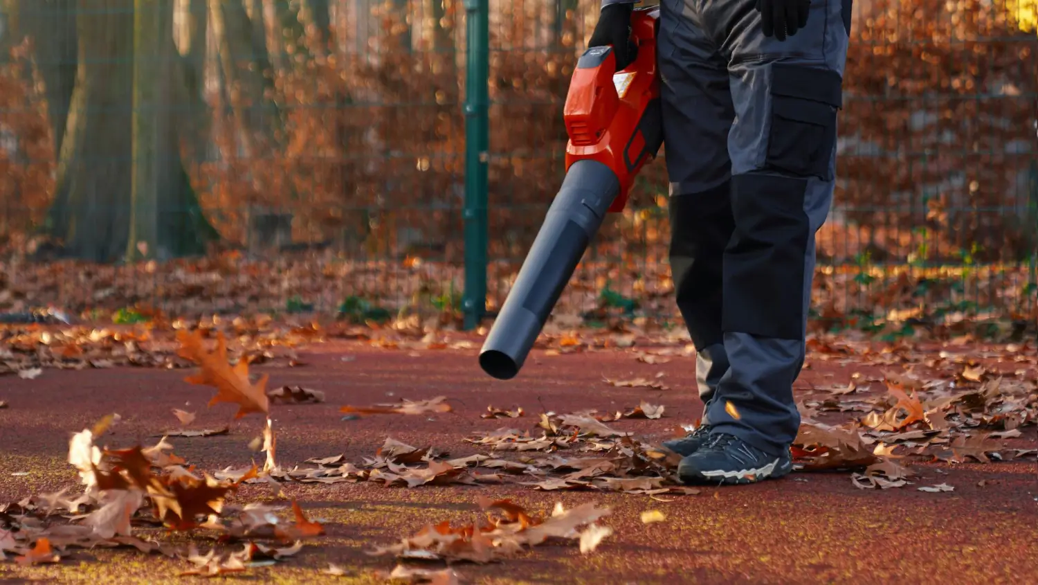 Best leaf vacuums for a spotless yard