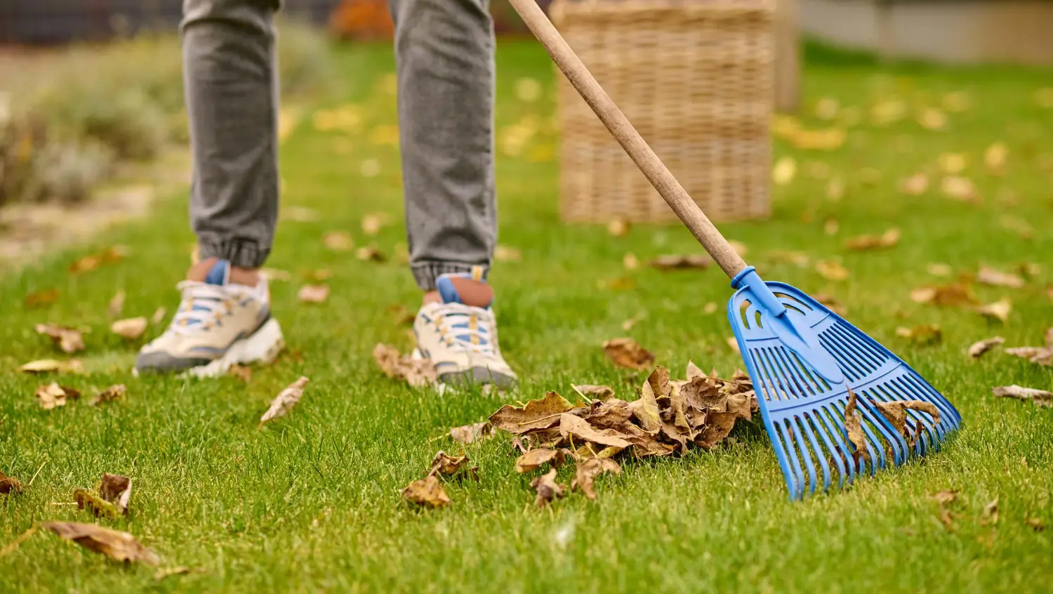 Achieve a perfect lawn with the best lawn leveling rakes