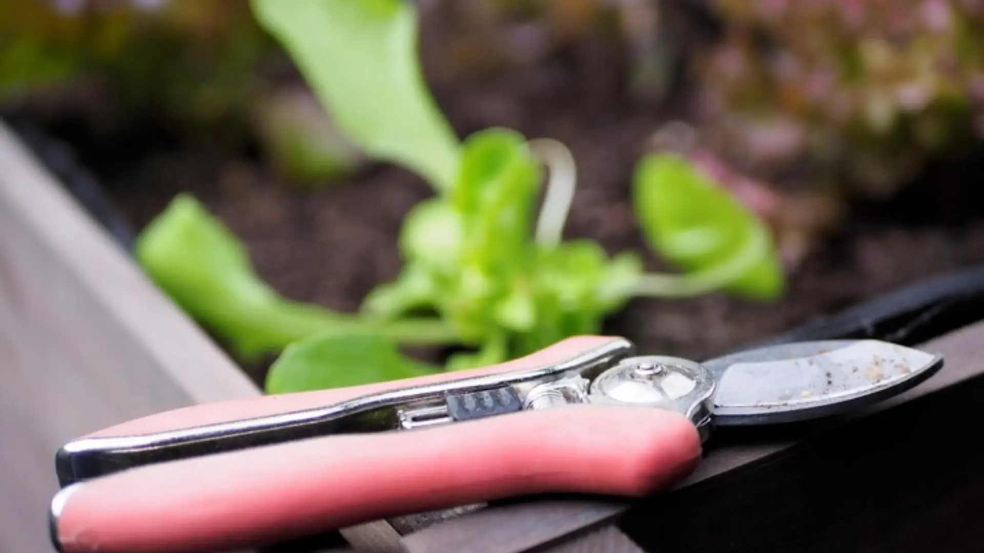 Advanced Horticulture Tools Advanced Horticulture Tools