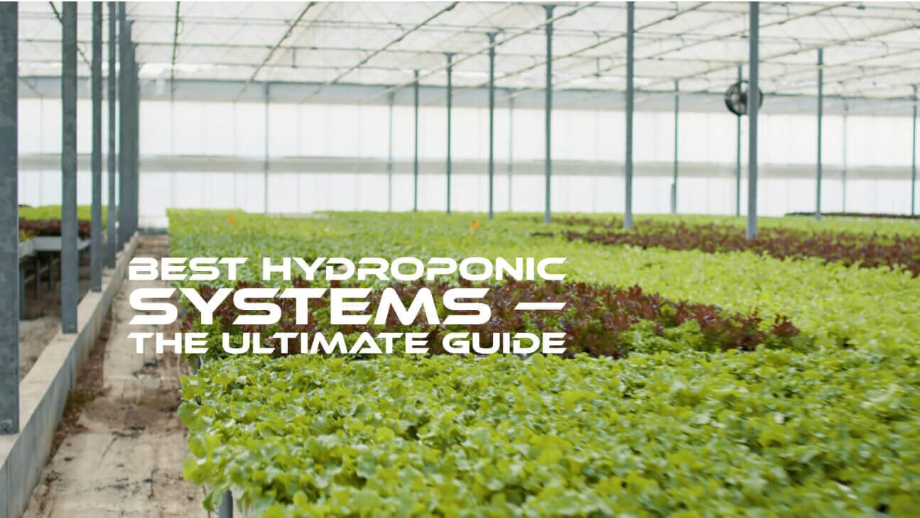 Best Hydroponic Systems