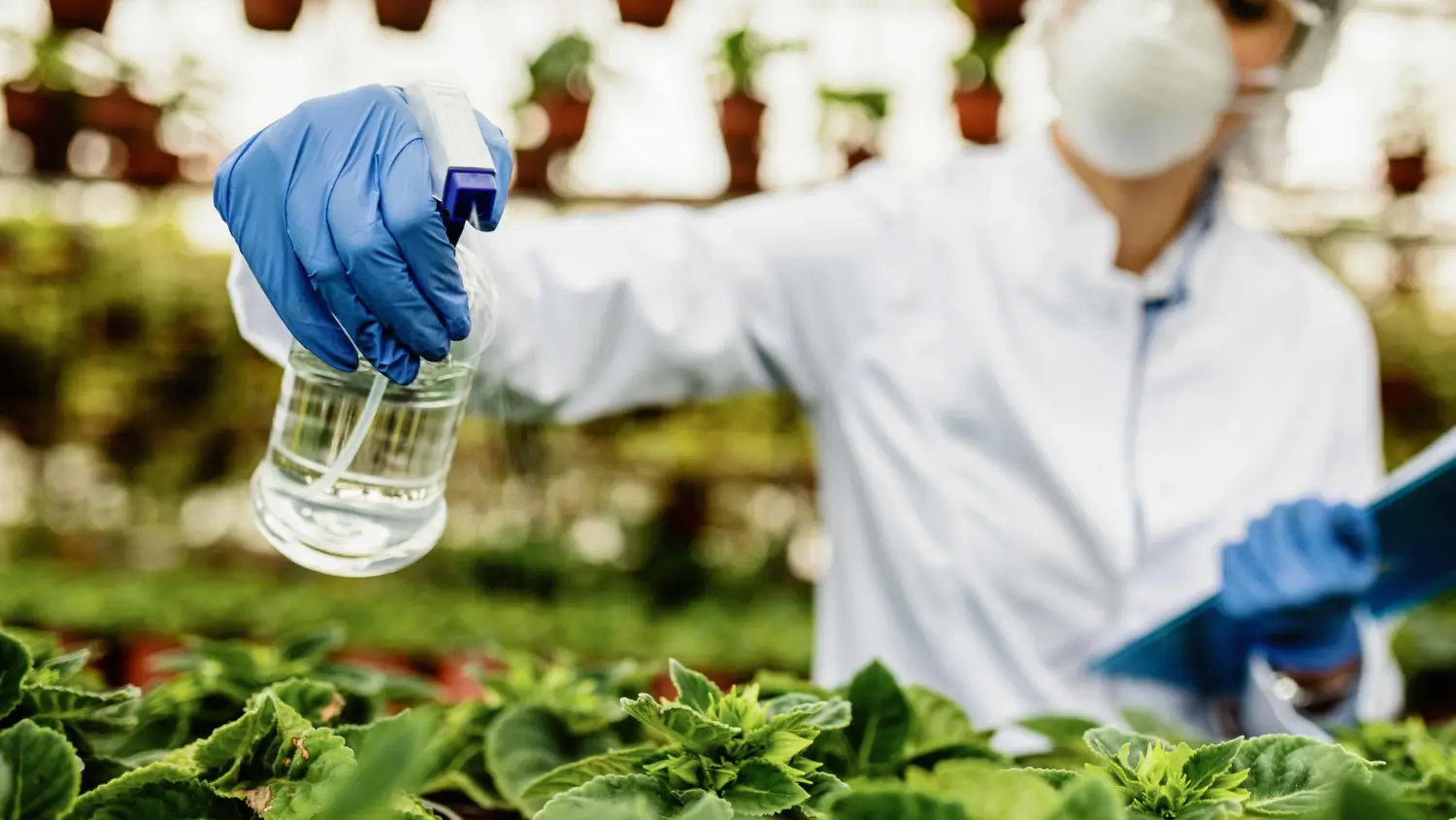 Top non-toxic weed killers for a safer, greener garden Top non-toxic weed killers for a safer, greener garden