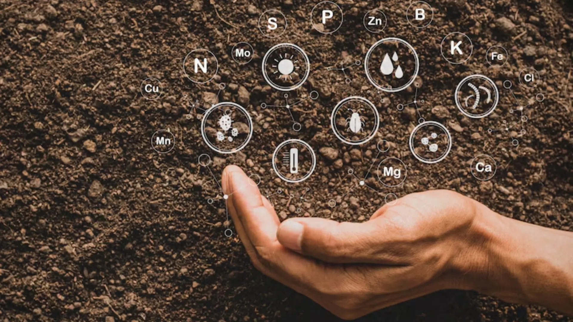 Organic and Microbial Solutions Organic and Microbial Solutions