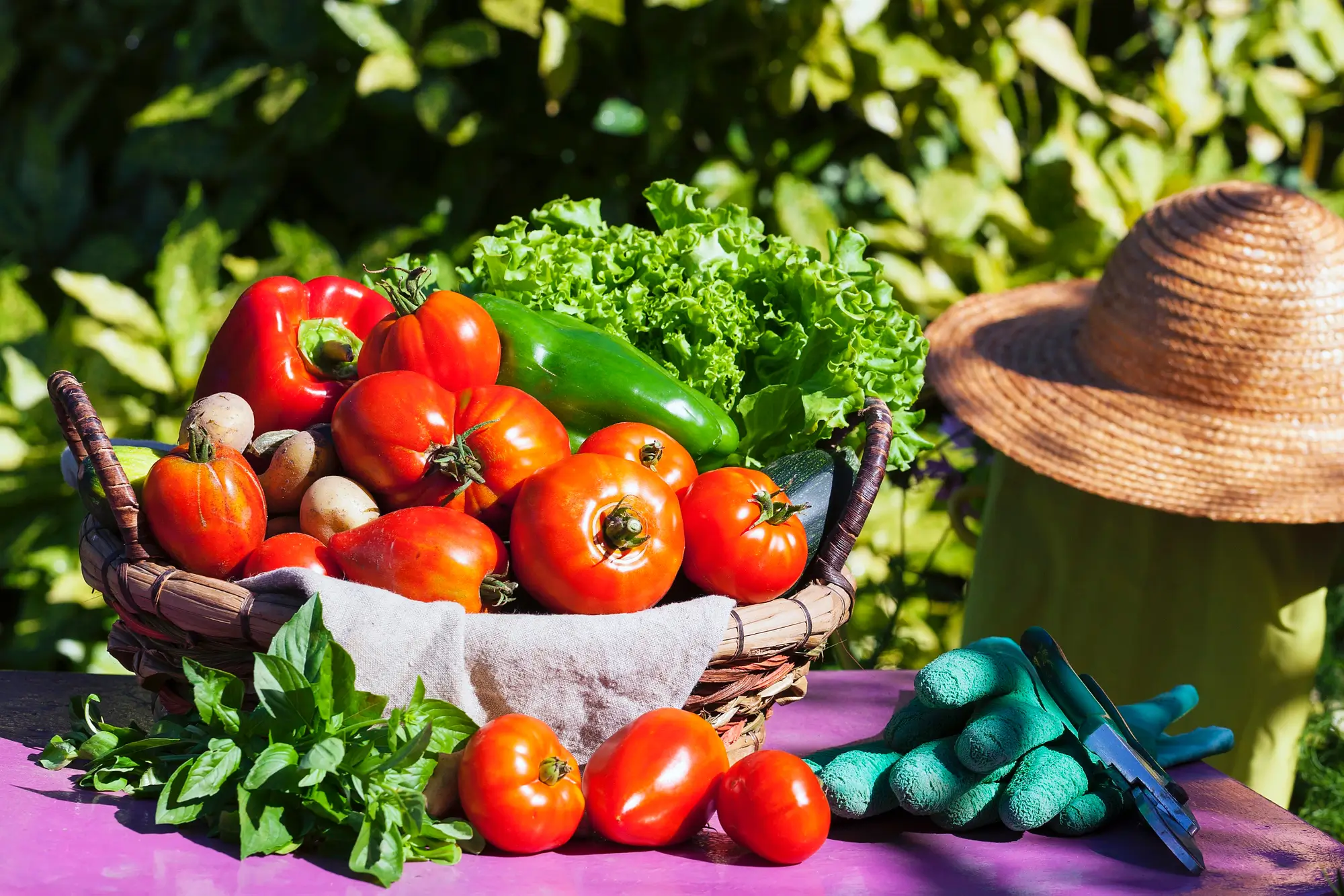 Organic Gardening