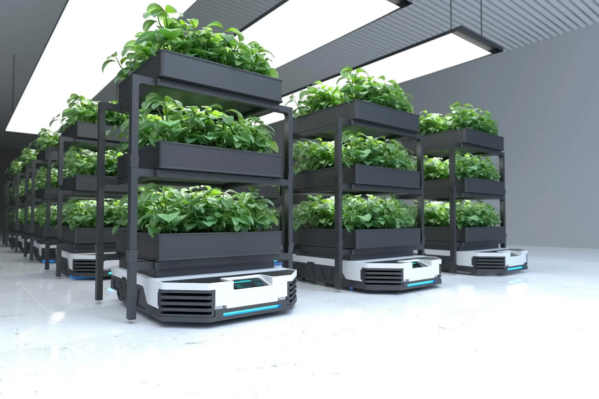 AgriTech and Farm Automation