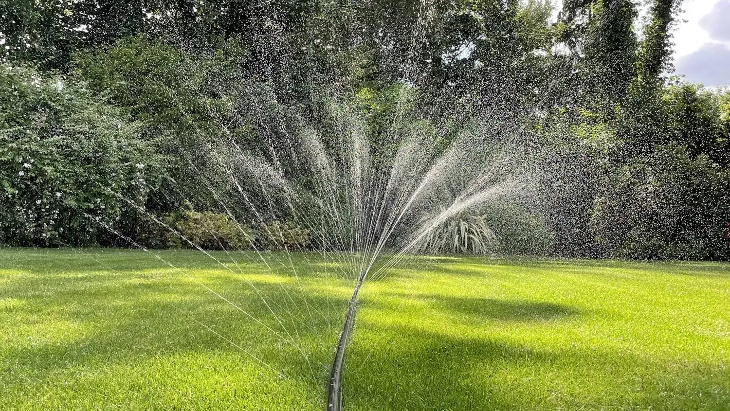 Soaker hoses: The water-saving solution every gardener needs Soaker hoses: The water-saving solution every gardener needs