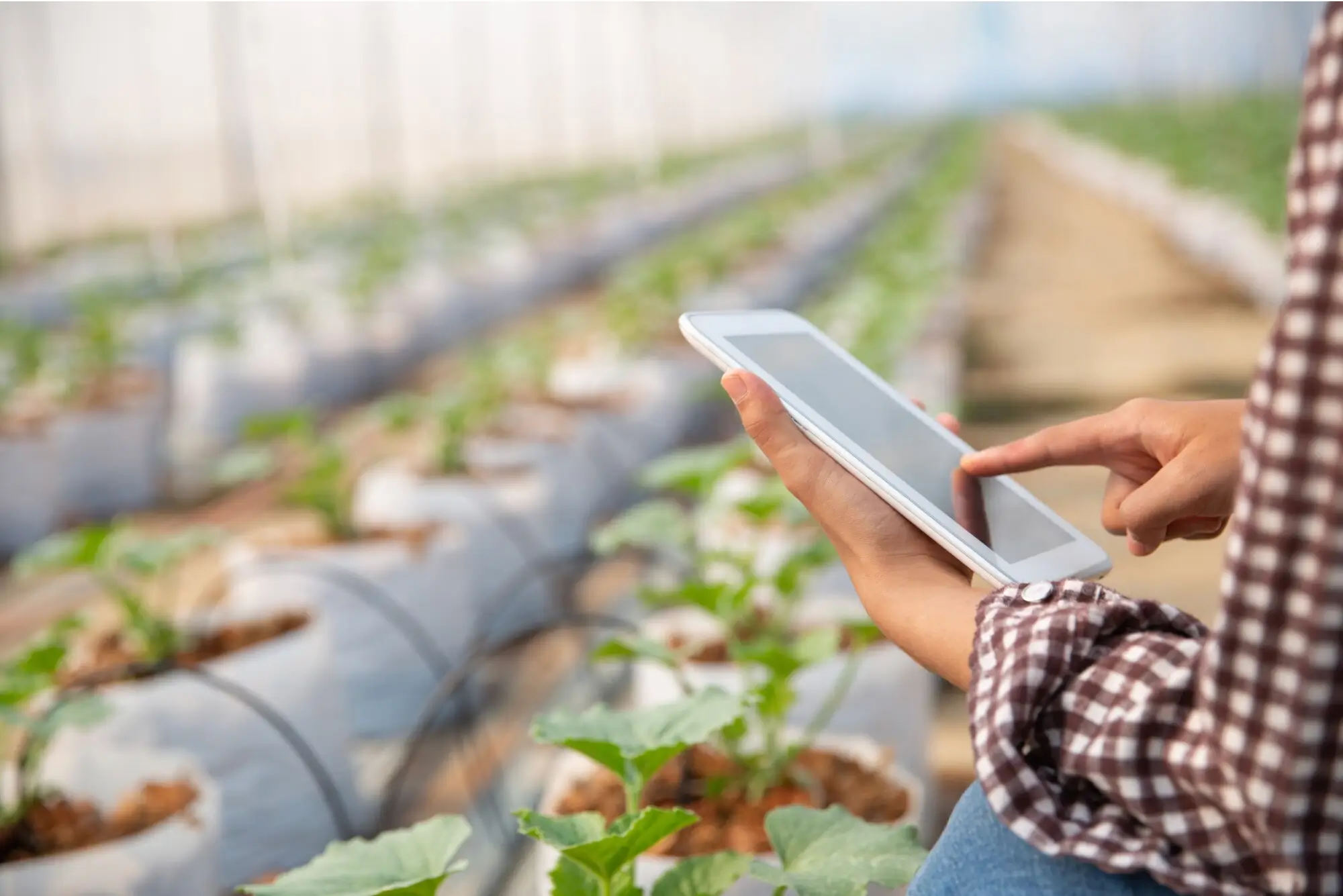 Precision Agriculture