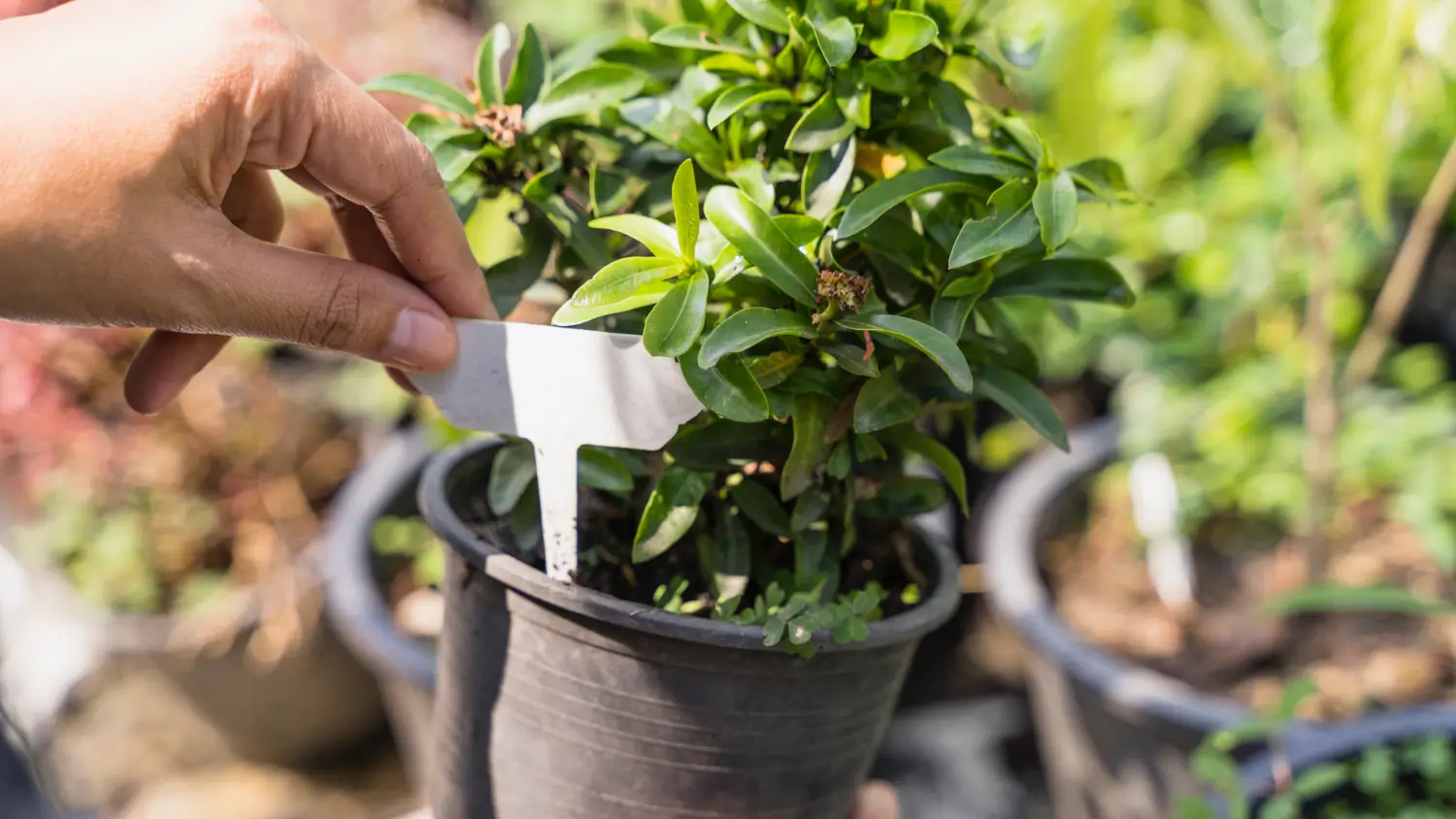 5 clever uses for metal stakes in your garden and yard projects 5 clever uses for metal stakes in your garden and yard projects