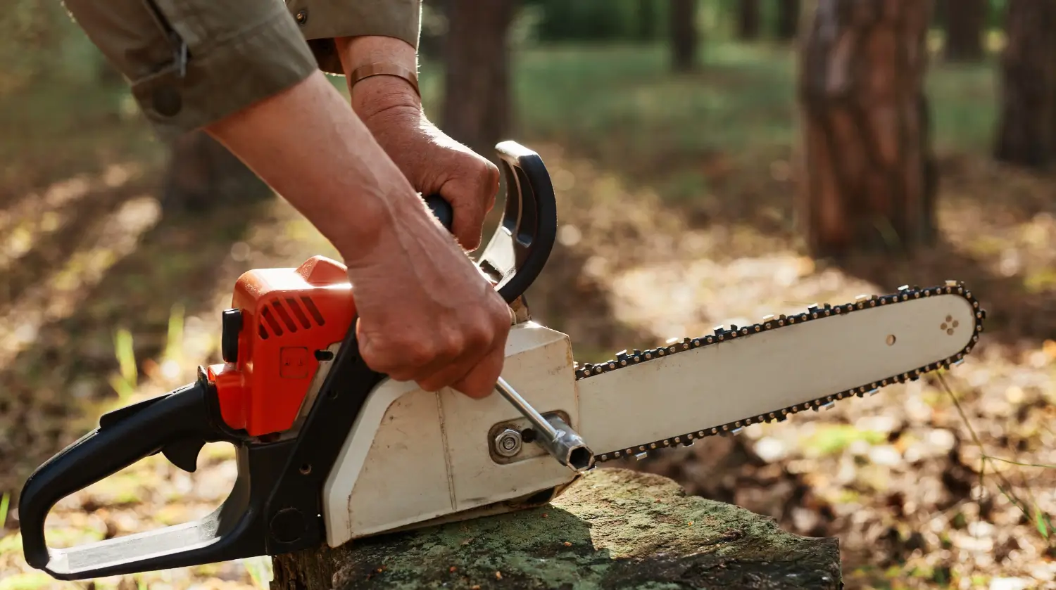Best mini chainsaws for pruning and yard work: Lightweight, powerful, and safe Best mini chainsaws for pruning and yard work: Lightweight, powerful, and safe