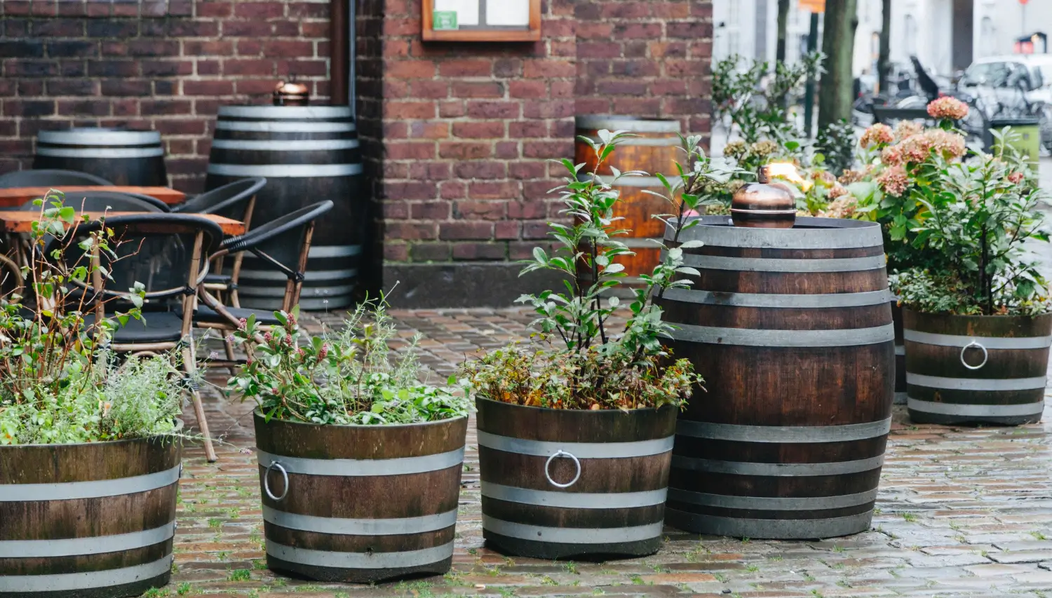 How to turn a whiskey barrel into a beautiful planter: DIY garden charm How to turn a whiskey barrel into a beautiful planter: DIY garden charm