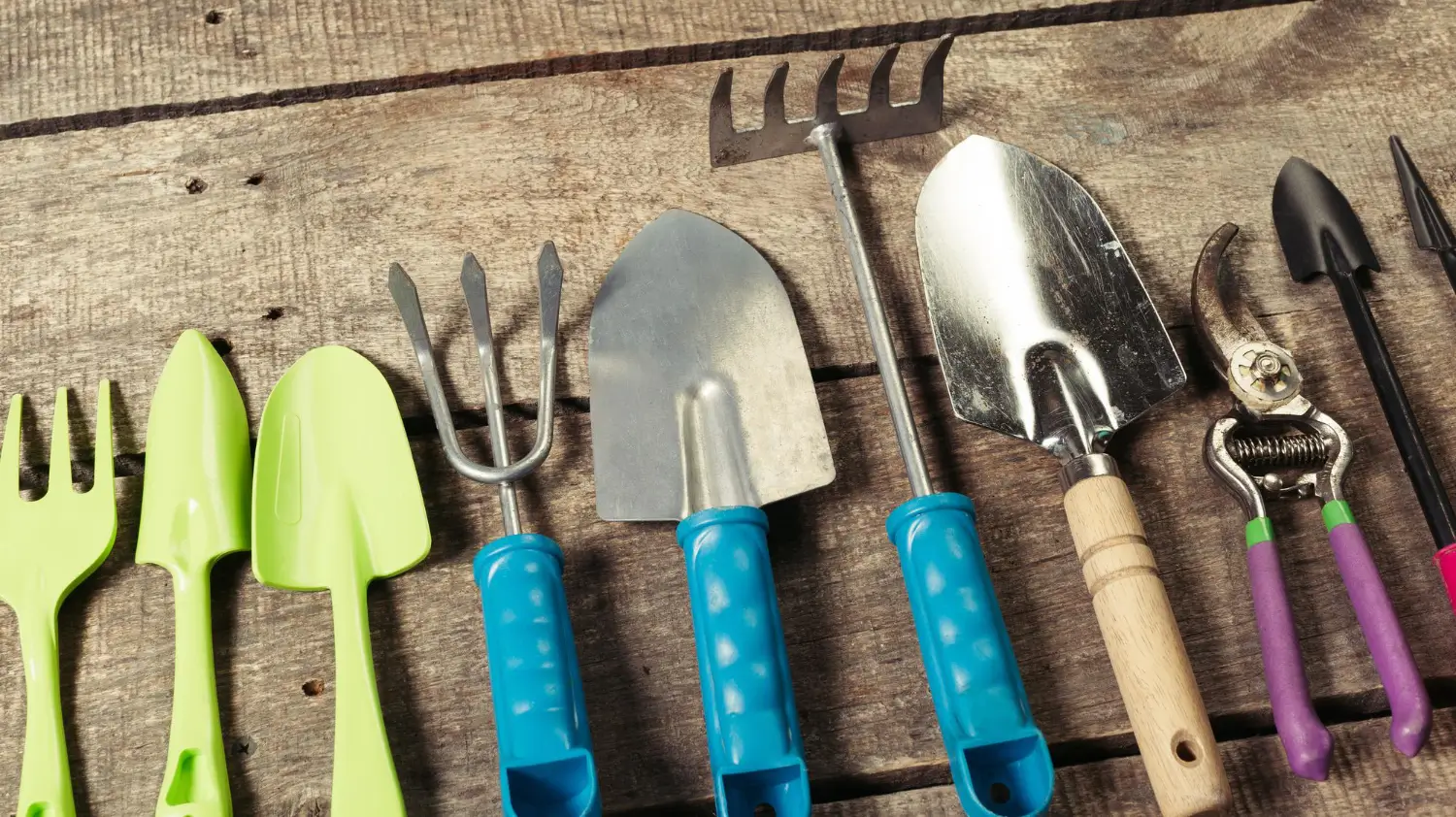 Digging tools you actually need: A gardeners essential toolkit