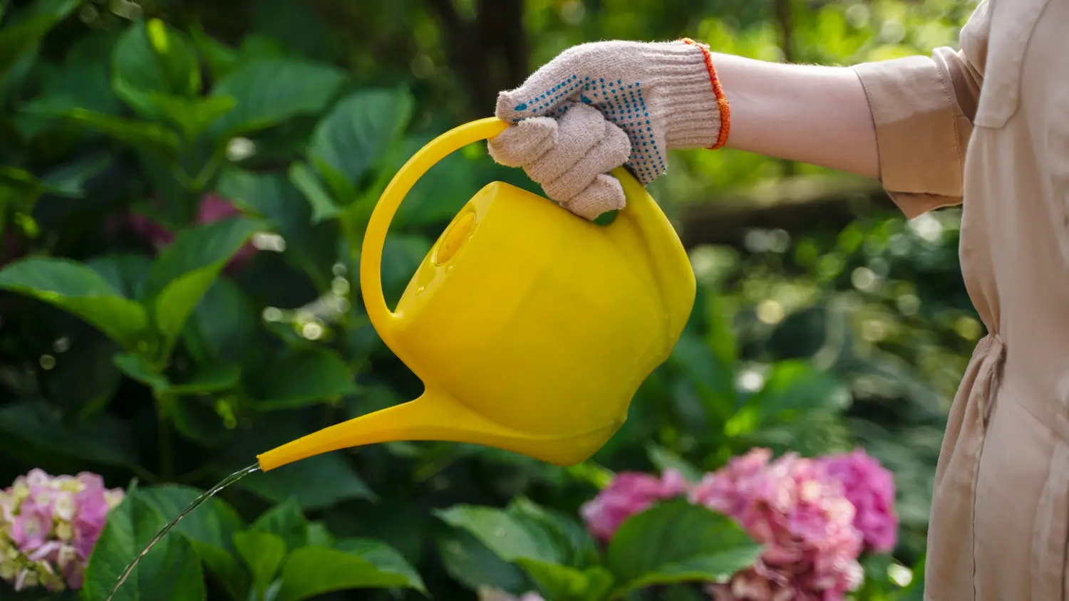 Best watering cans for indoor and outdoor plants: Stylish and practical picks