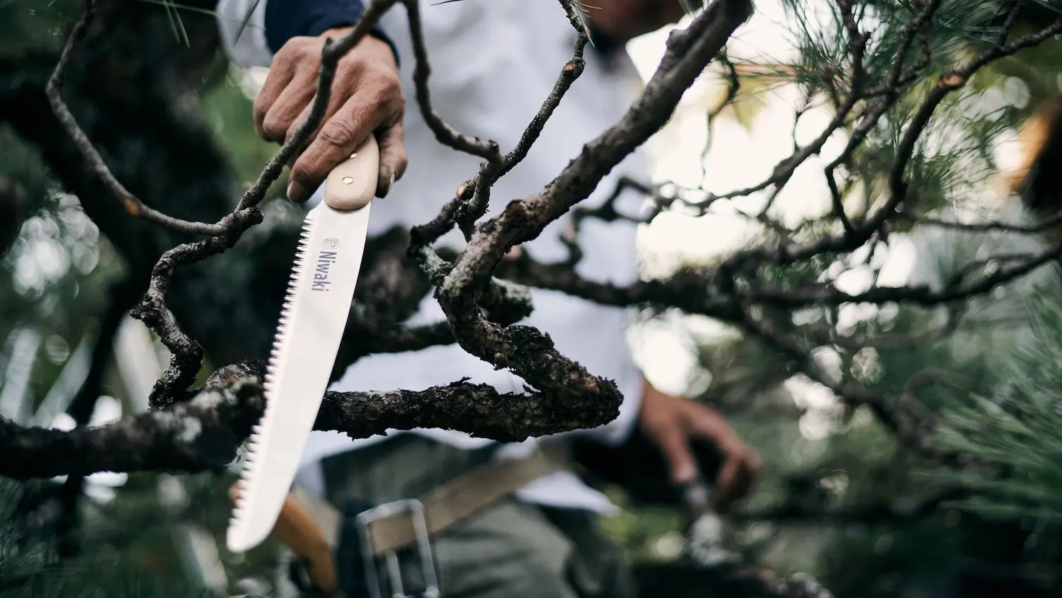 Best pruning saws for clean cuts on trees and shrubs
