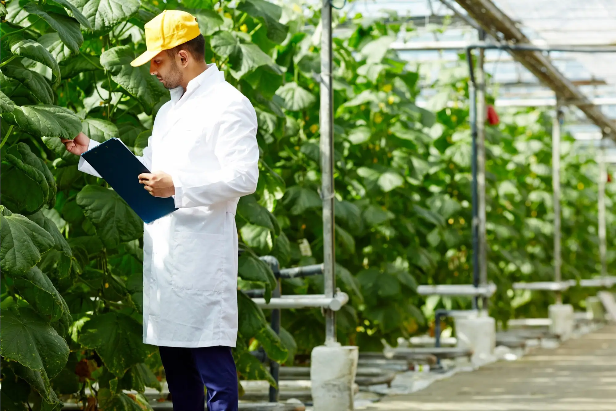 Agricultural Policy and Innovation