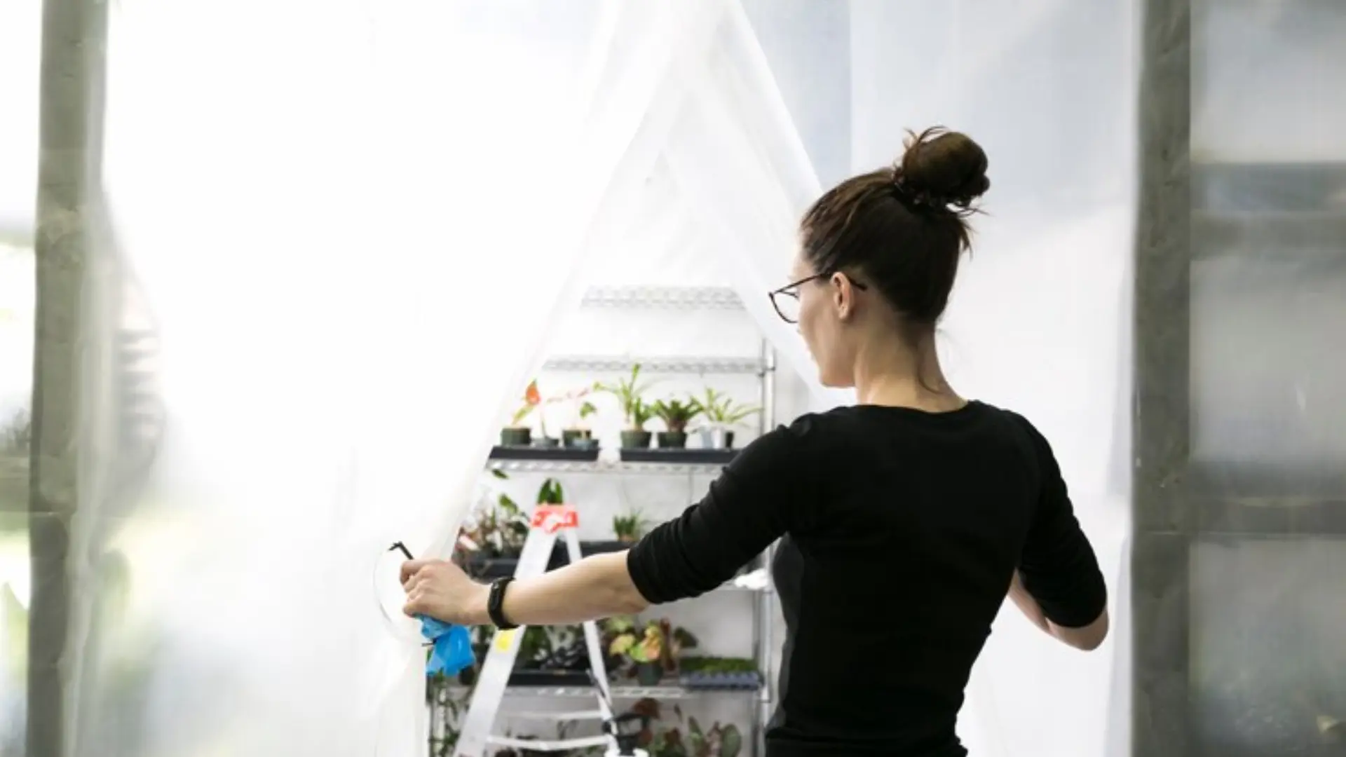 Grow Room Effectiveness Grow Room Effectiveness