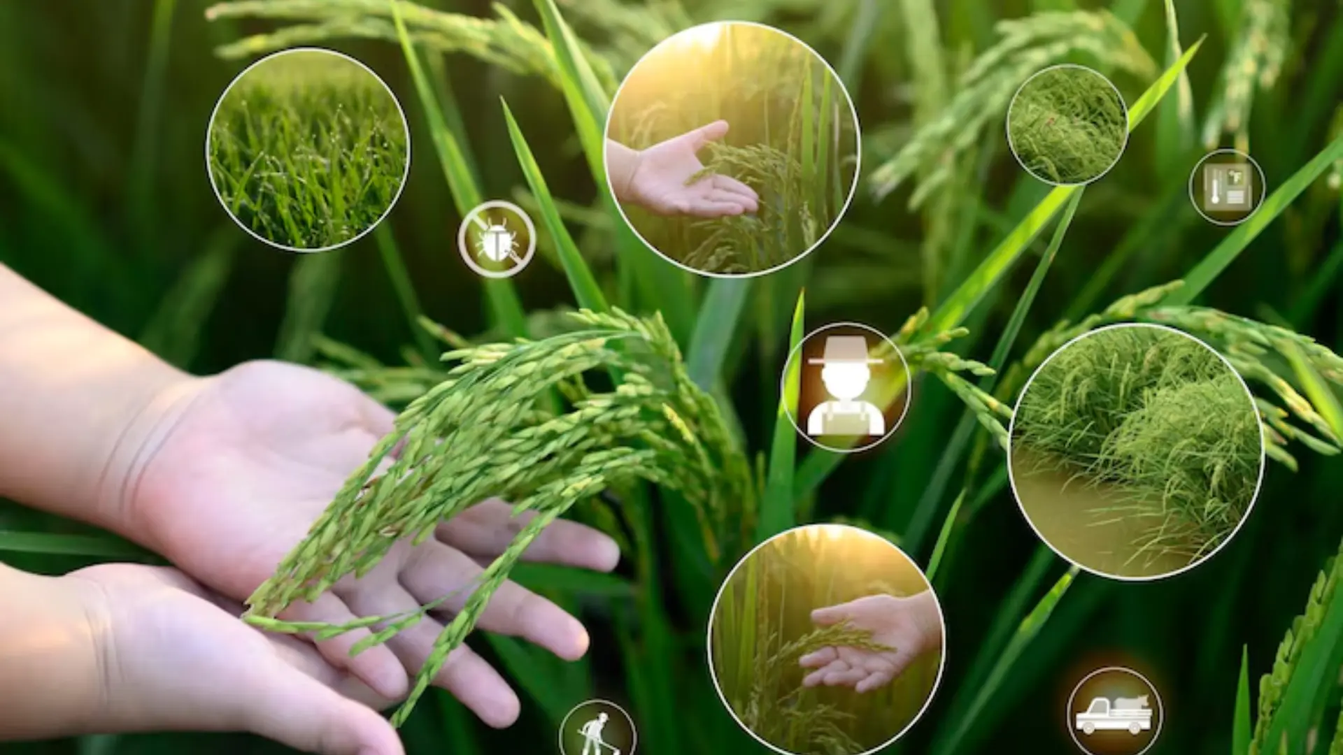 Next-Gen Nutrient and Agri-Solutions