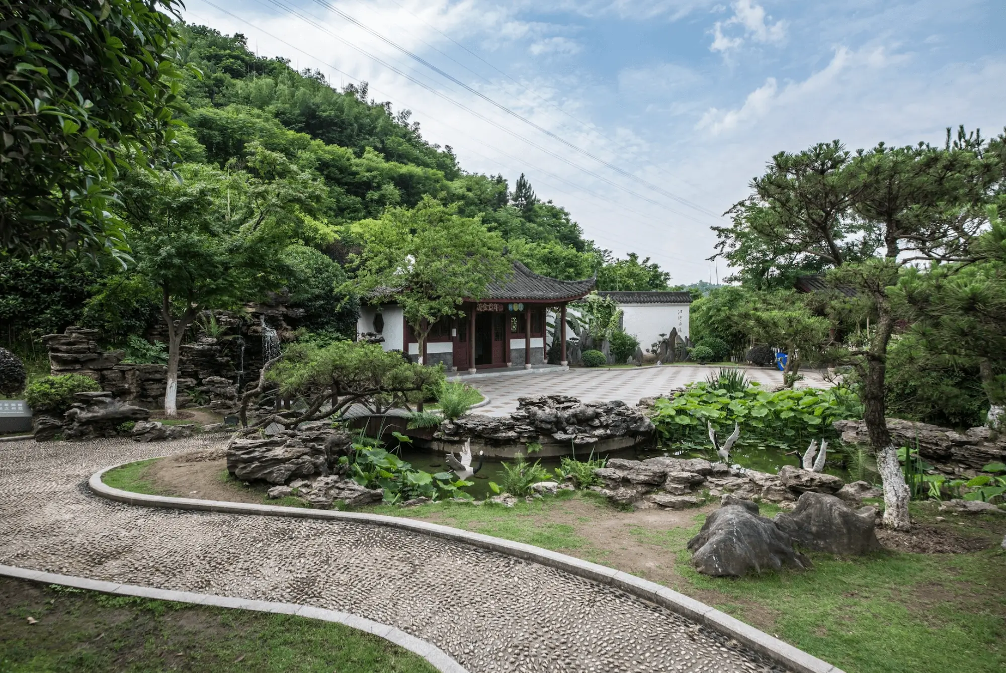 Home Landscape Ideas & Trends