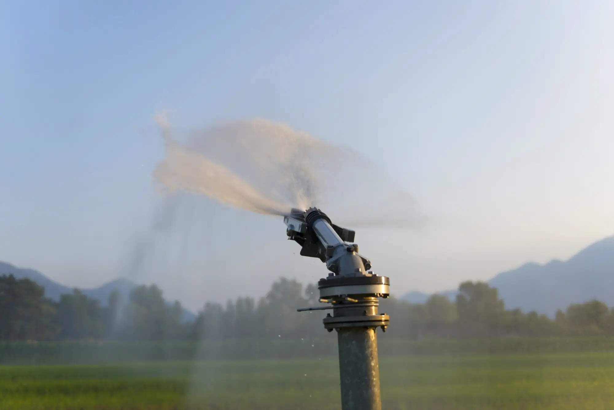 Drip Irrigation & Sprinkler Systems