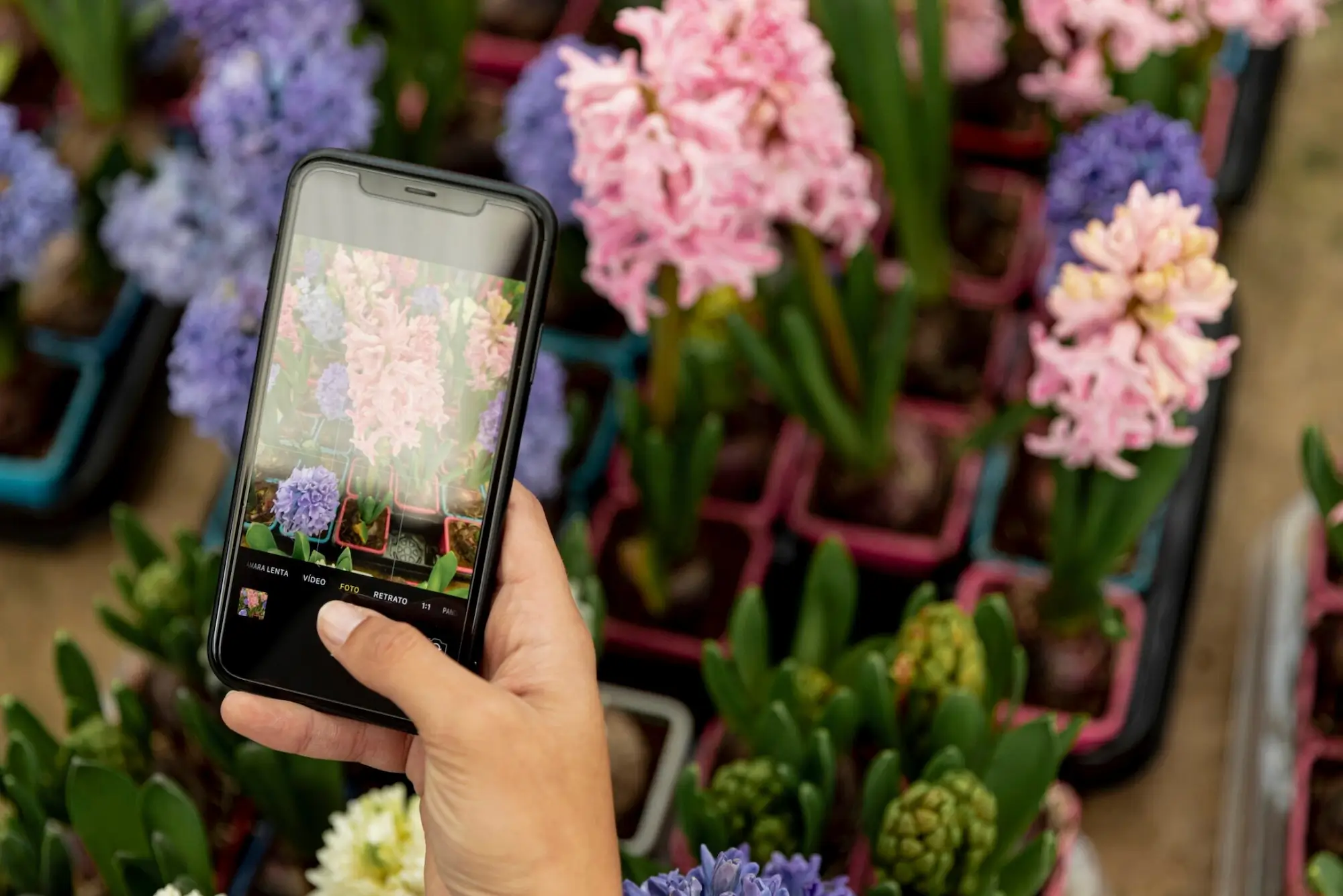 Smart Garden Gadgets
