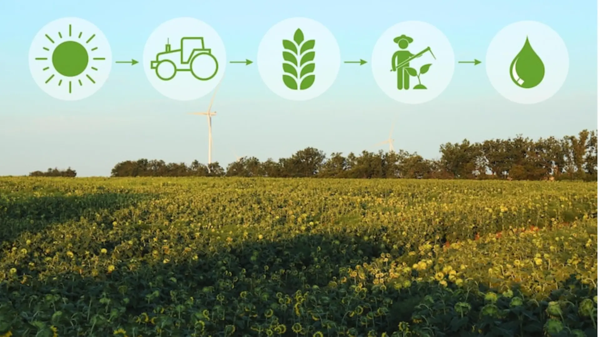 Smart grow infrastructure