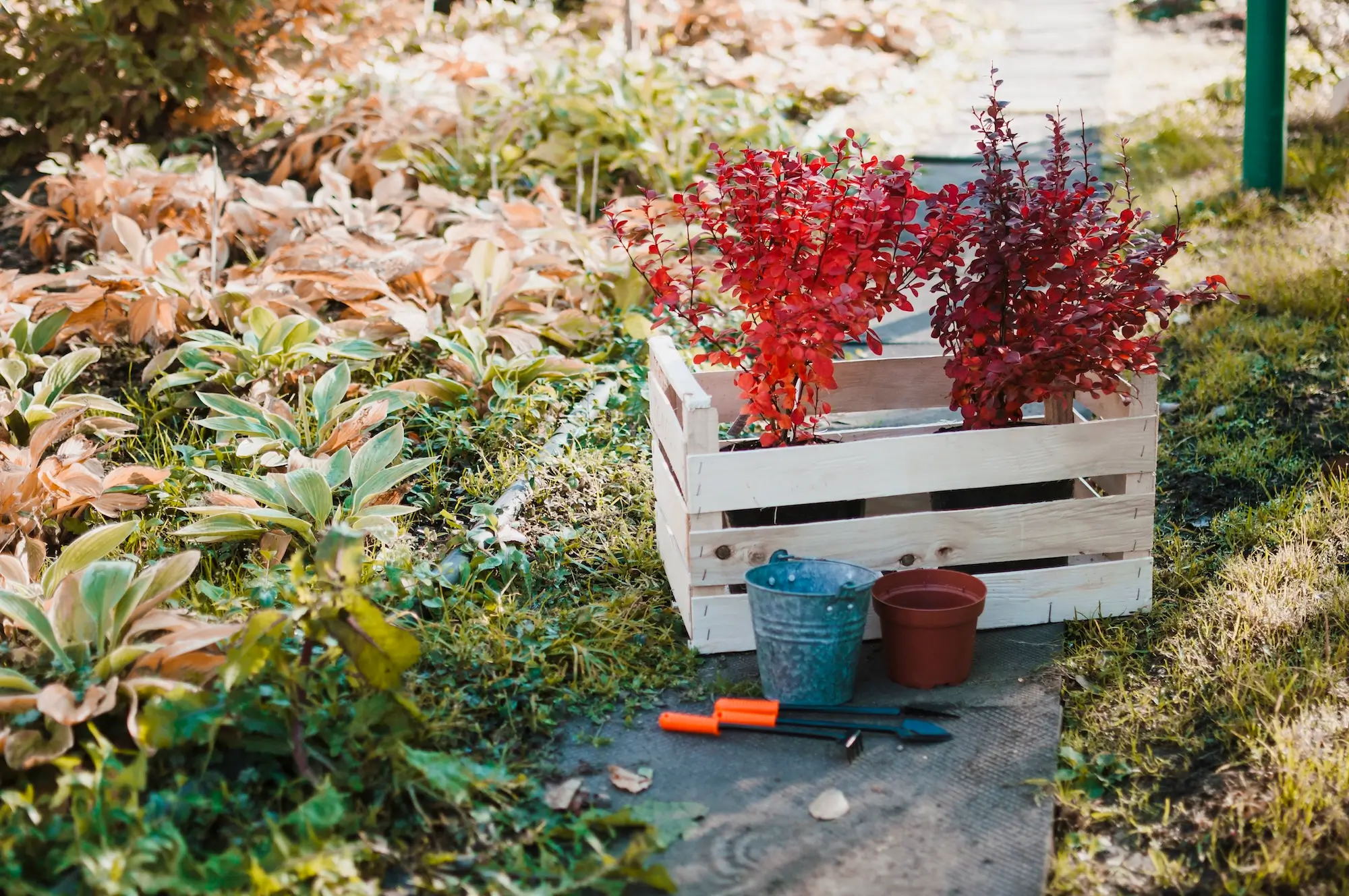 Seasonal Gardening Guides