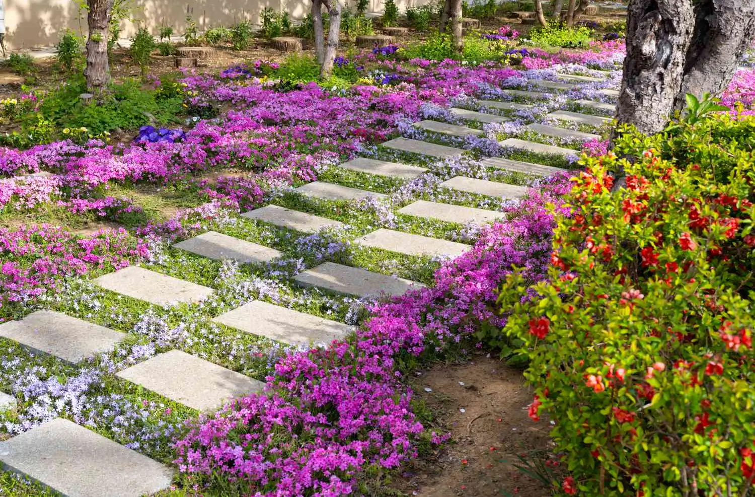 Best low-maintenance ground covers for every yard: Skip the grass, not the green Best low-maintenance ground covers for every yard: Skip the grass, not the green