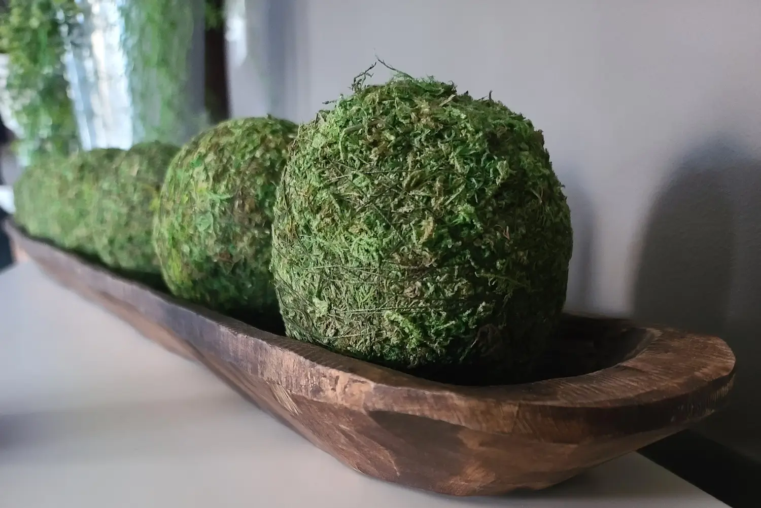 Moss balls: Keeping and decorating with these green beauties