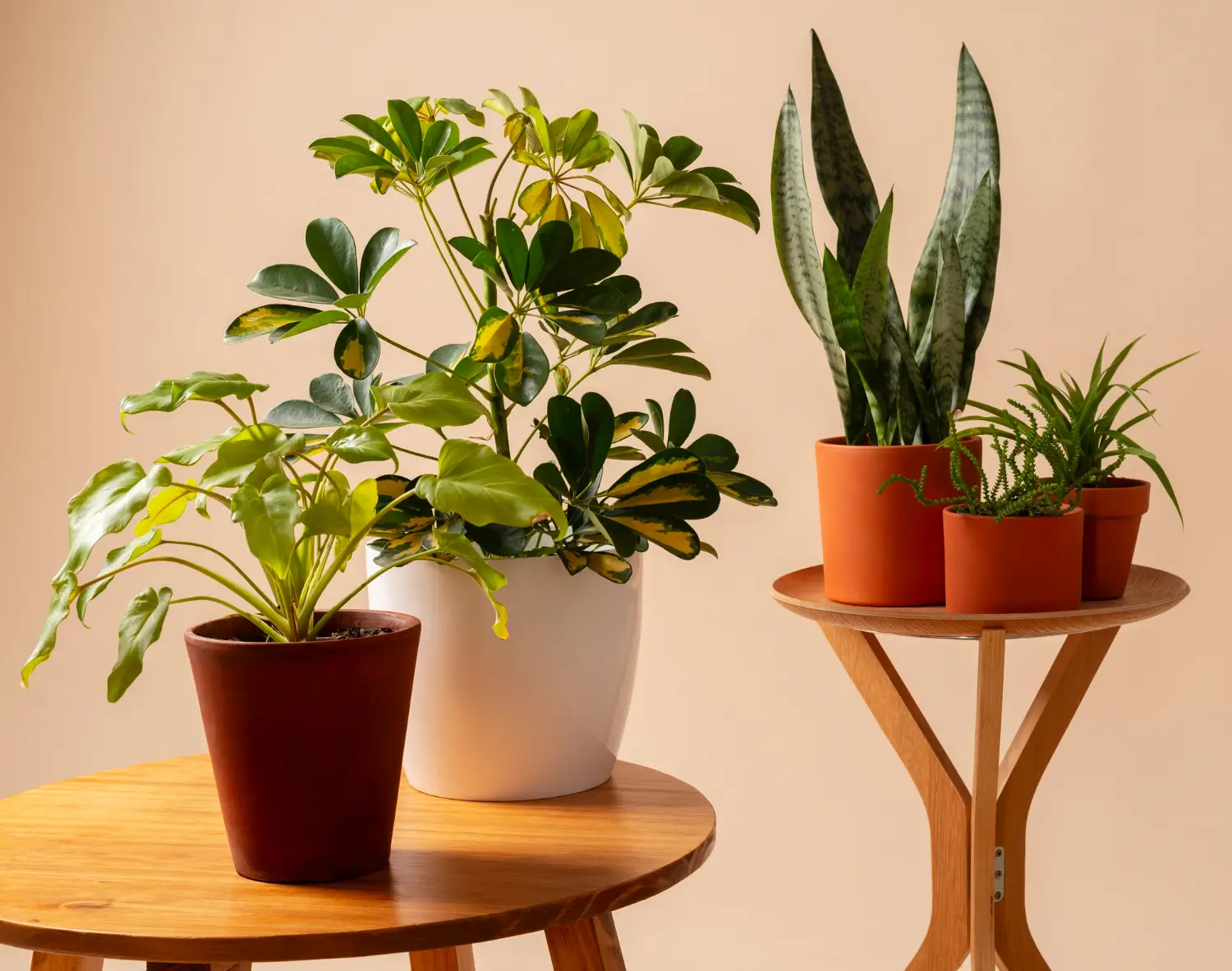 Attractive wooden plant stands to lift your indoor garden