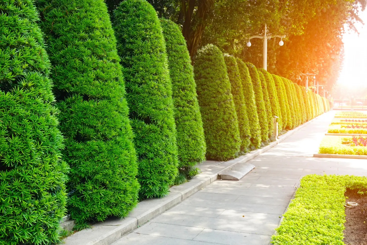 Landscape edging ideas that define and elevate your yard