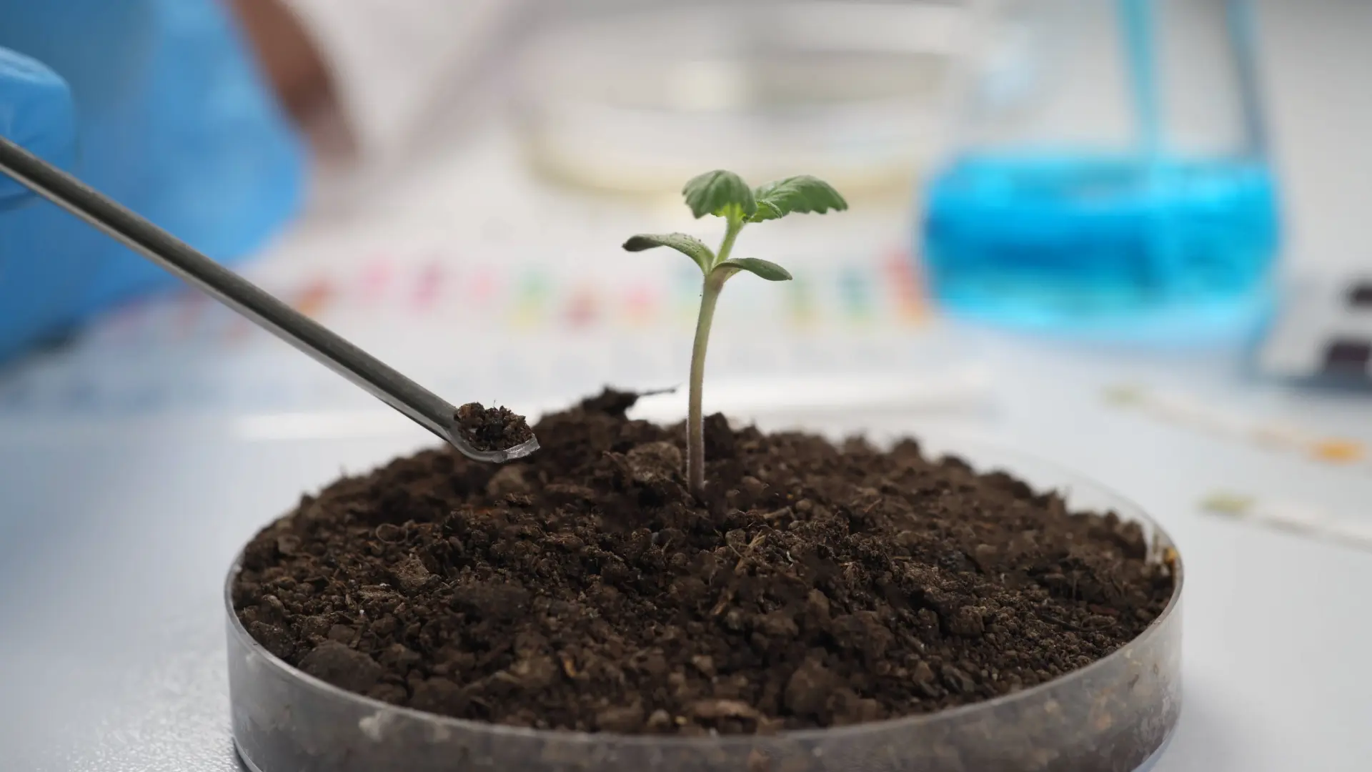 Advanced Fertilizers and Nutrient Solutions Advanced Fertilizers and Nutrient Solutions