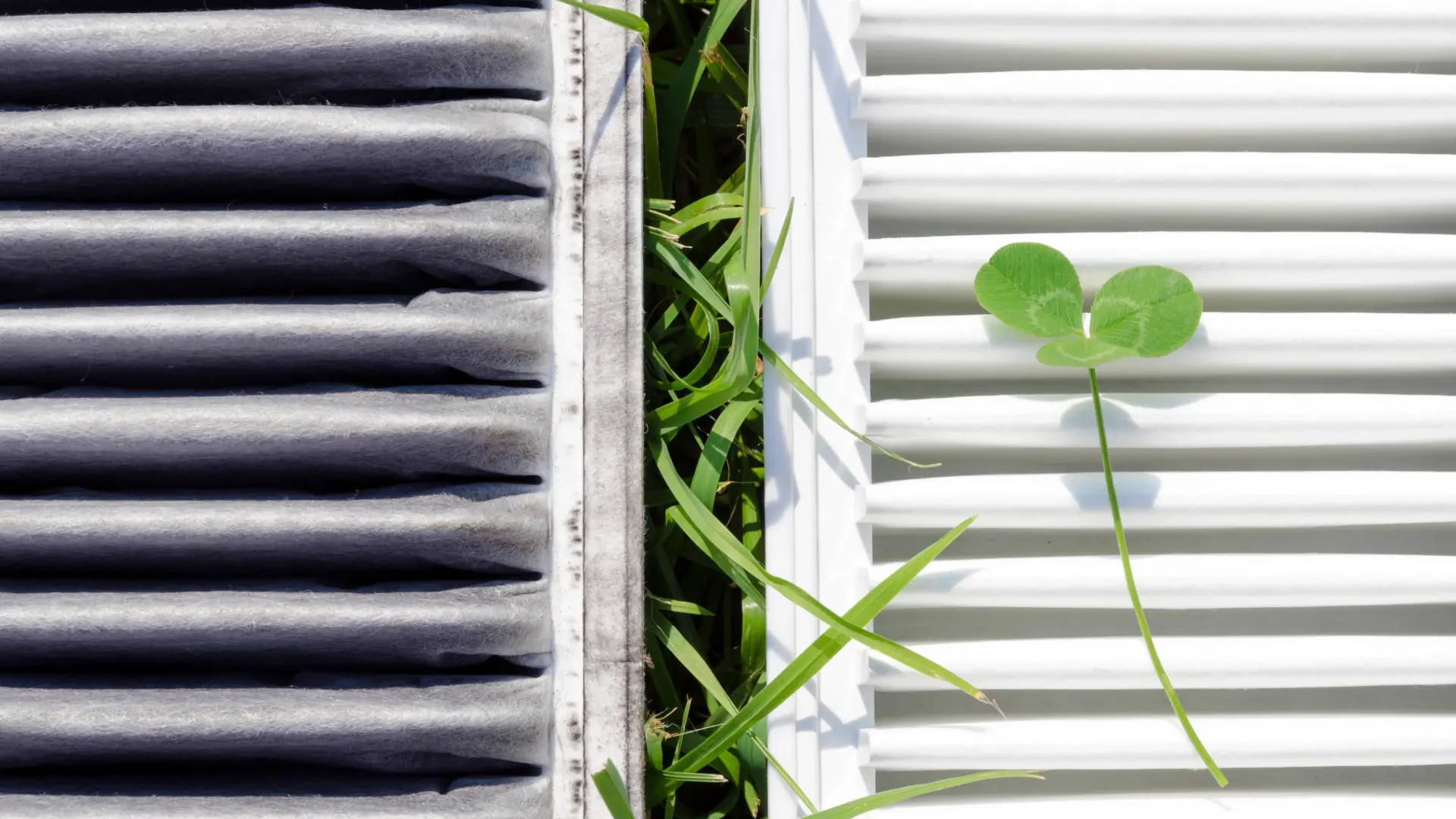 Air Purification and Green Tech Solutions